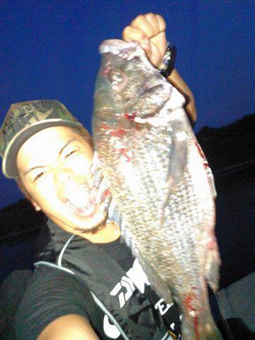 朝マヅメにチヌトップ